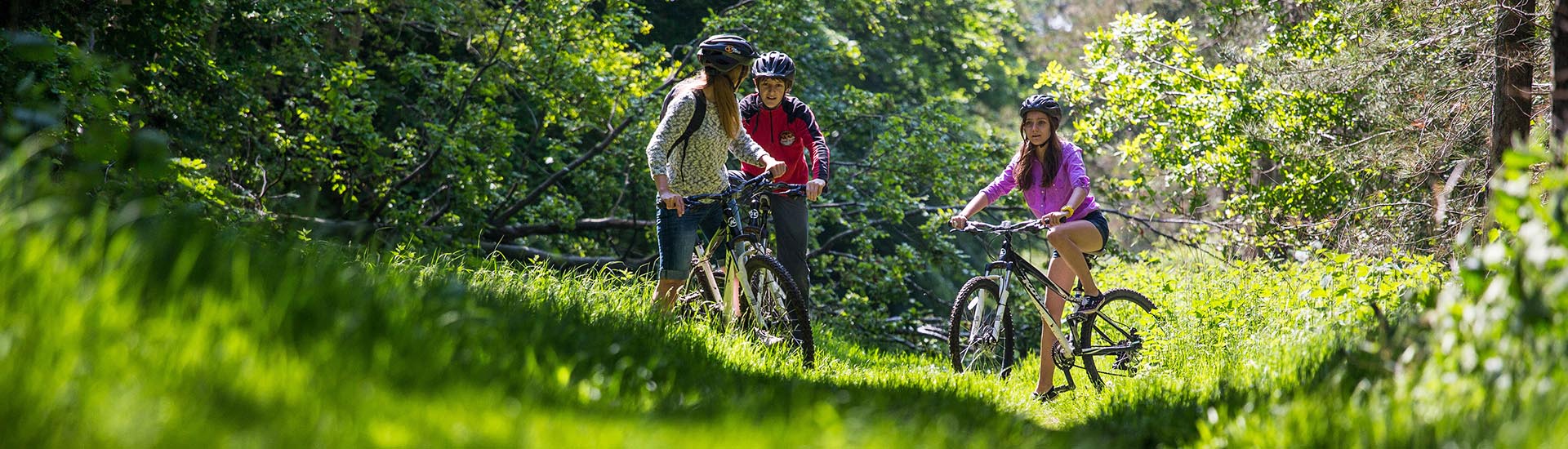 Thorpe Woodlands Adventure Centre